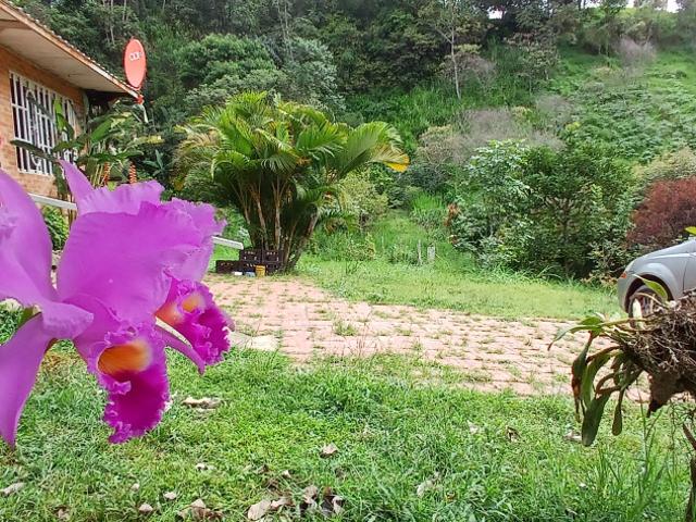 Finca En Venta En Fusagasuga V284743