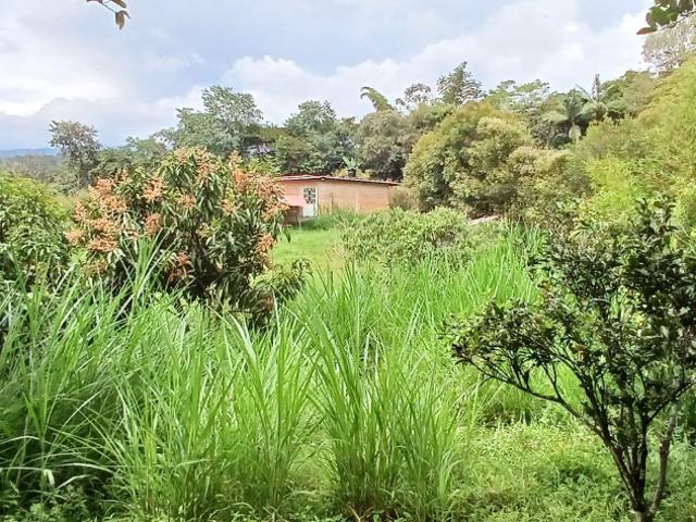 Finca En Venta En Fusagasuga V284743