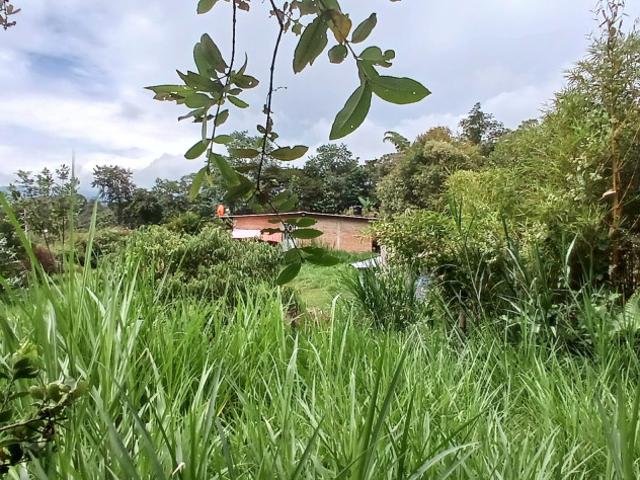 Finca En Venta En Fusagasuga V284743