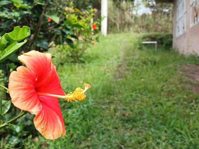 Finca En Venta En Fusagasuga V284743