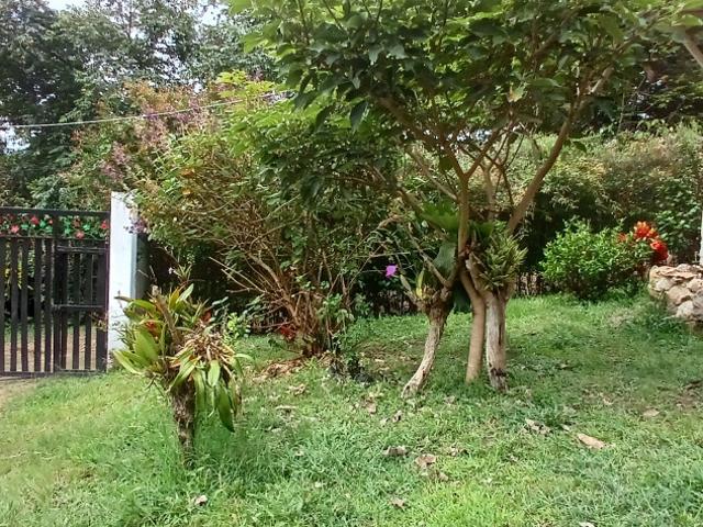 Finca En Venta En Fusagasuga V284743
