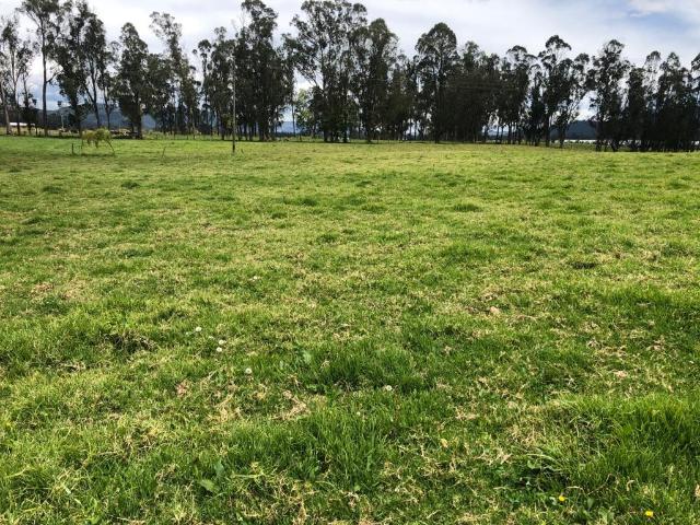 Finca En Venta En Gachancipa En. V254582