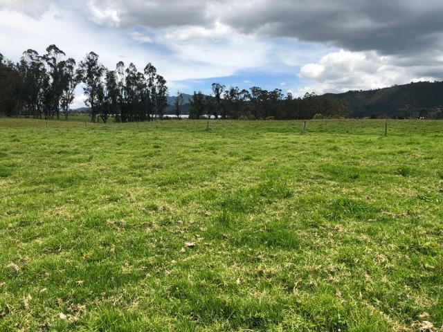 Finca En Venta En Gachancipa En. V254582