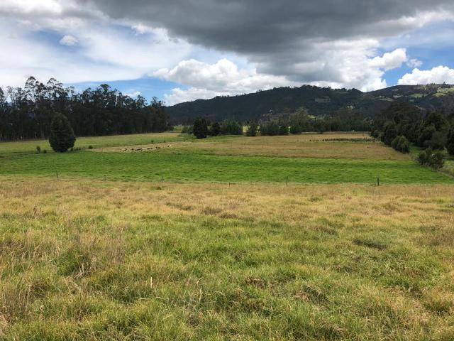 Finca En Venta En Gachancipa En. V254582