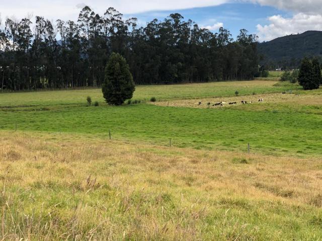 Finca En Venta En Gachancipa En. V254582
