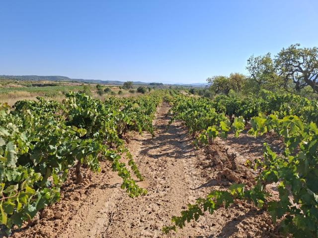 Finca en venta en Terra Alta, Catalunya