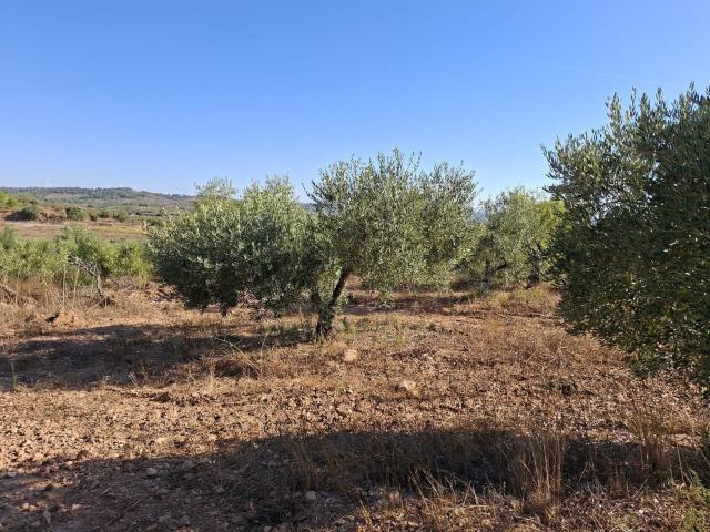 Finca en venta en Terra Alta, Catalunya