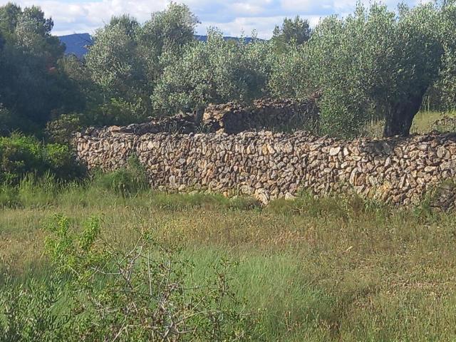 Finca en venta en Ribera d'Ebre, Catalunya