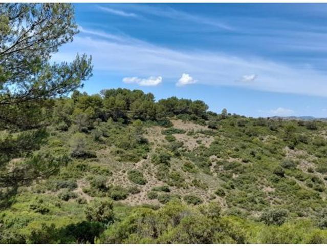 Local Comercial en venta en Génave, Andalucía