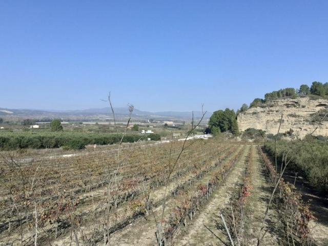 Finca en venta en Ginestar, Tarragona