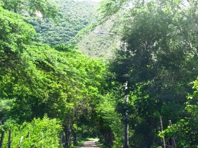 Finca En Venta En Girardot En. V261225
