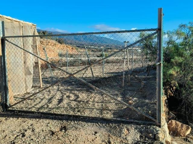 Finca en venta en Los Blanquitos, Granadilla de Abona