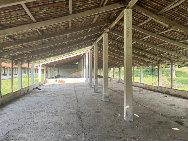 Finca En Venta En Guadalajara De Buga En. V207481