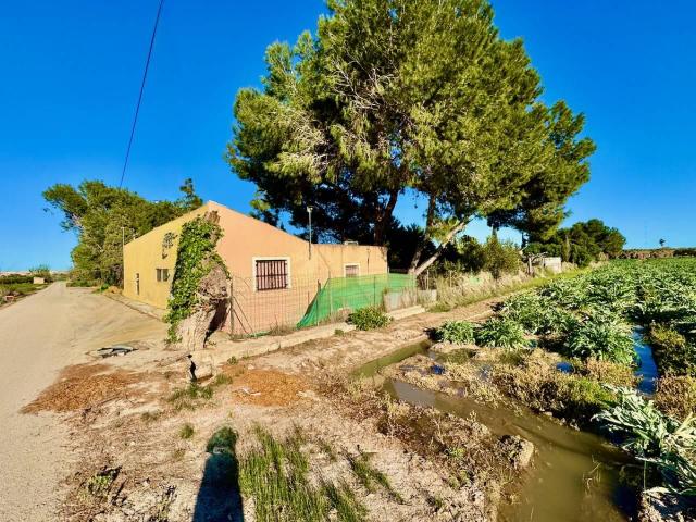 Finca en venta en Guardamar Del Segura