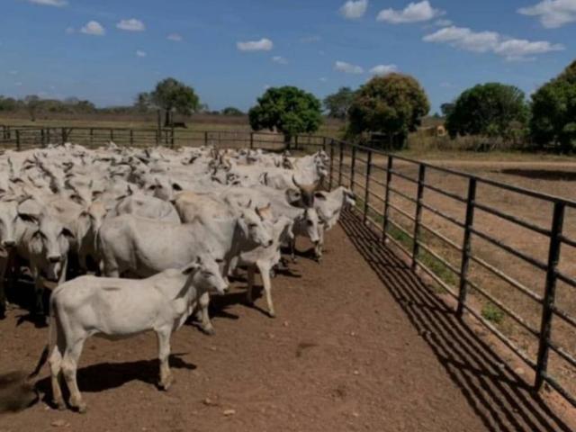 Terreno en venta en Guárico