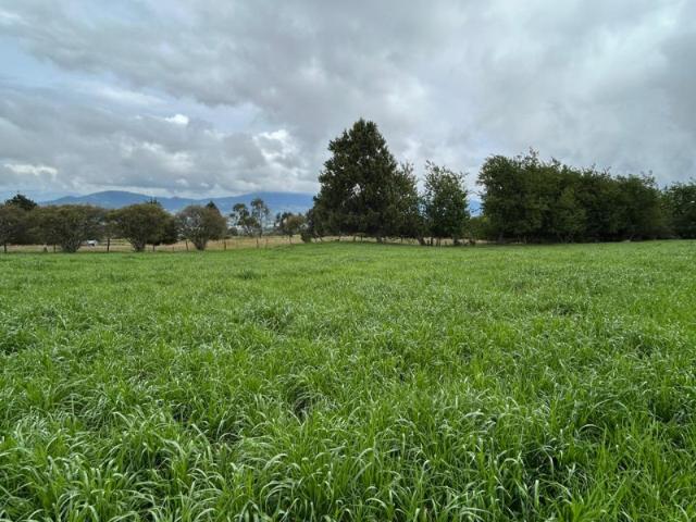 Finca En Venta En Guasca V292579