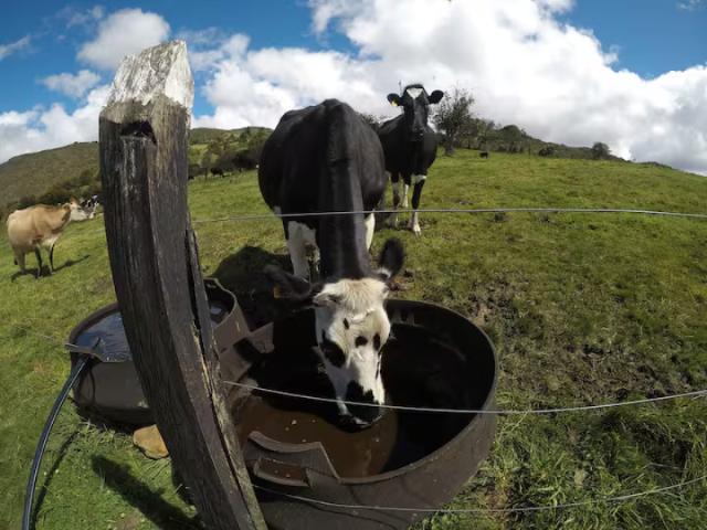 Finca En Venta En Guasca V292579