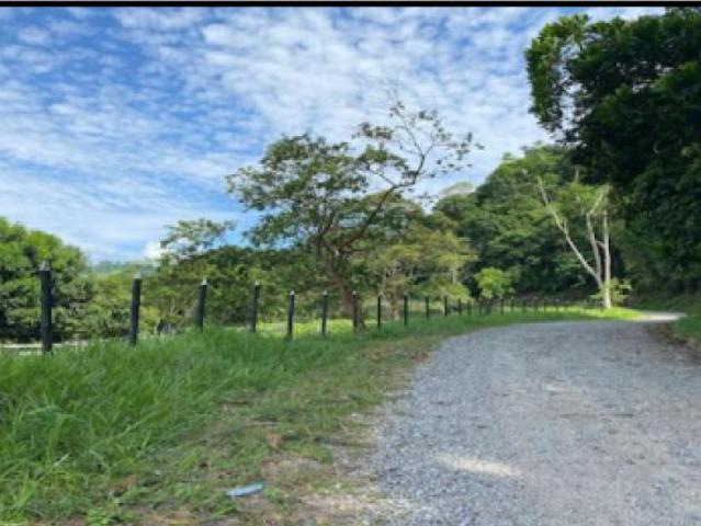 Finca en venta en Antioquia, San Carlos