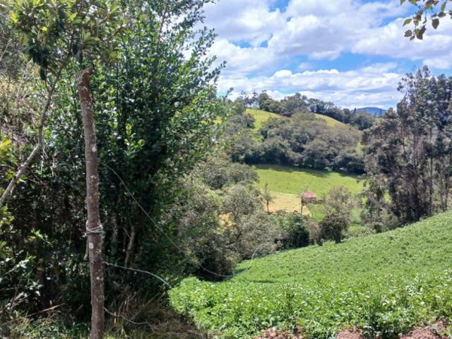 Finca en venta en Cundinamarca