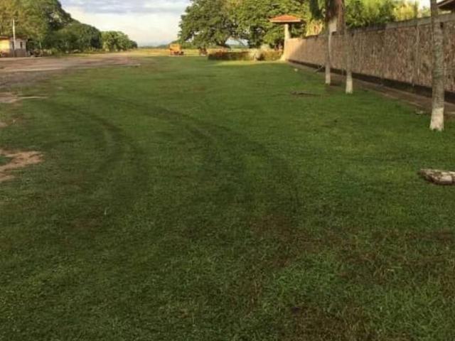 Terreno en venta en Guárico
