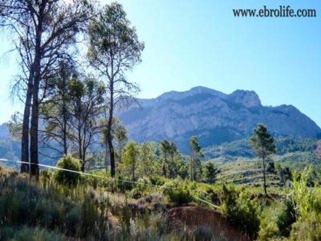 Finca en venta en Terra Alta, Catalunya