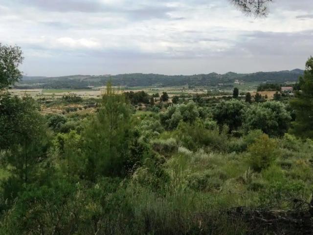Finca en venta en Terra Alta, Catalunya