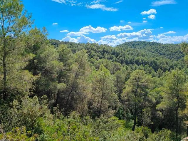 Finca en venta en Terra Alta, Catalunya