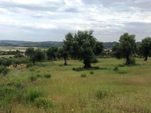 Finca en venta en Terra Alta, Catalunya