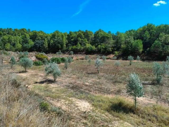 Finca en venta en Terra Alta, Catalunya