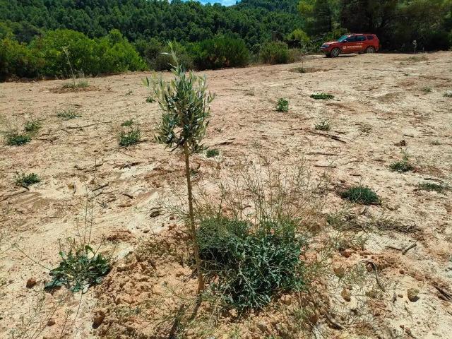Finca en venta en Terra Alta, Catalunya