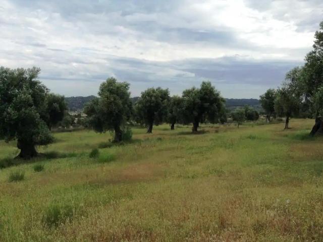 Finca en venta en Terra Alta, Catalunya
