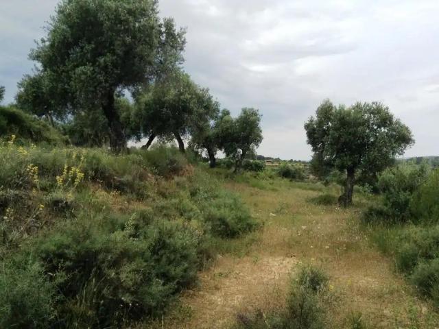 Finca en venta en Terra Alta, Catalunya
