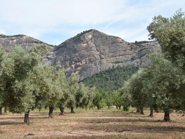 Finca en venta en Horta De Sant Joan Finca en venta en Horta De Sant Joan