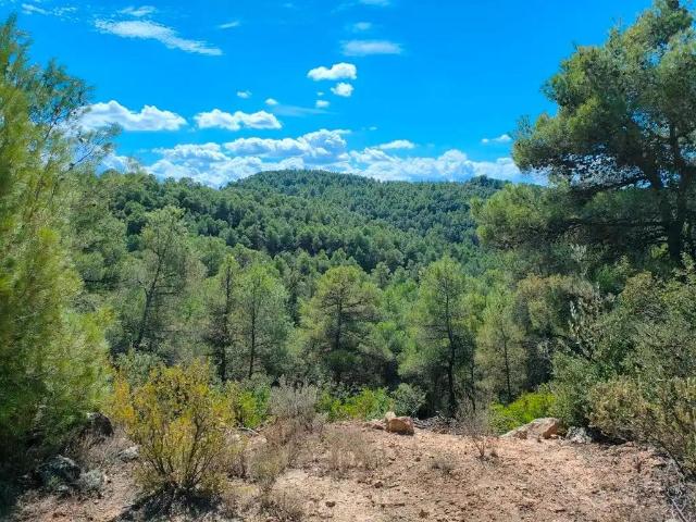 Finca en venta en Terra Alta, Catalunya