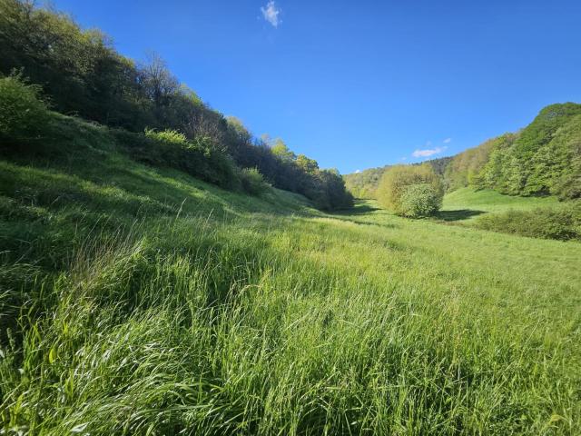 Finca en venta en Urritza, Imotz