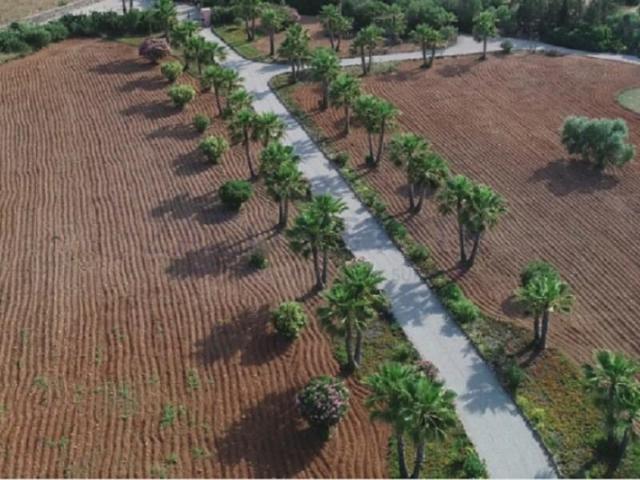 Finca en venta en Crist Rei, Raiguer