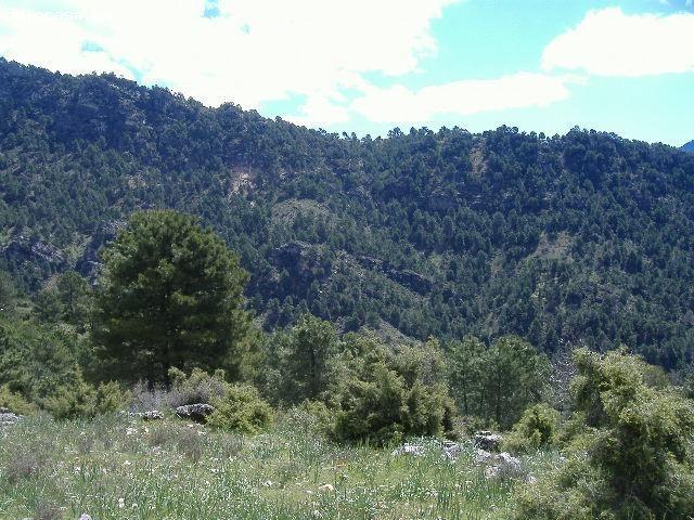 Local Comercial en venta en Iznatoraf, Andalucía