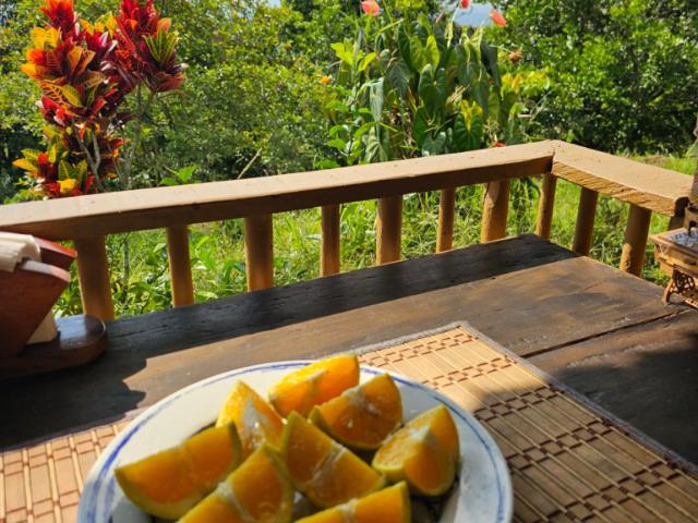 Finca en venta en Sur, Jamundí