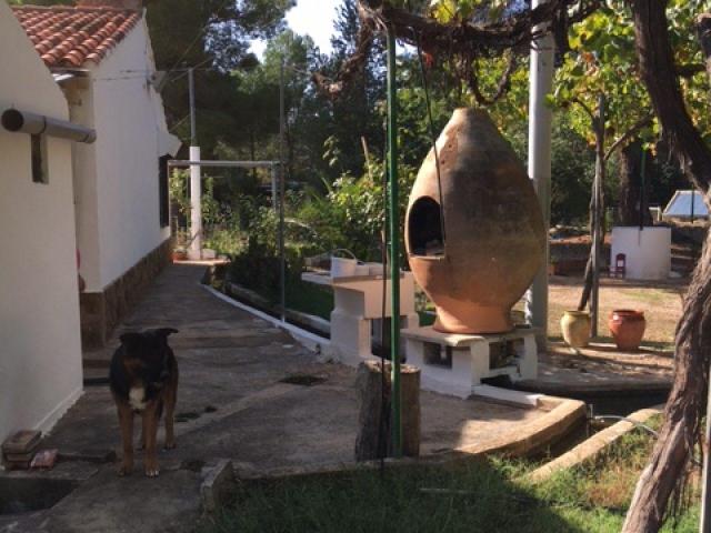Finca en venta en El Valle de Cofrentes-Ayora, Valencia