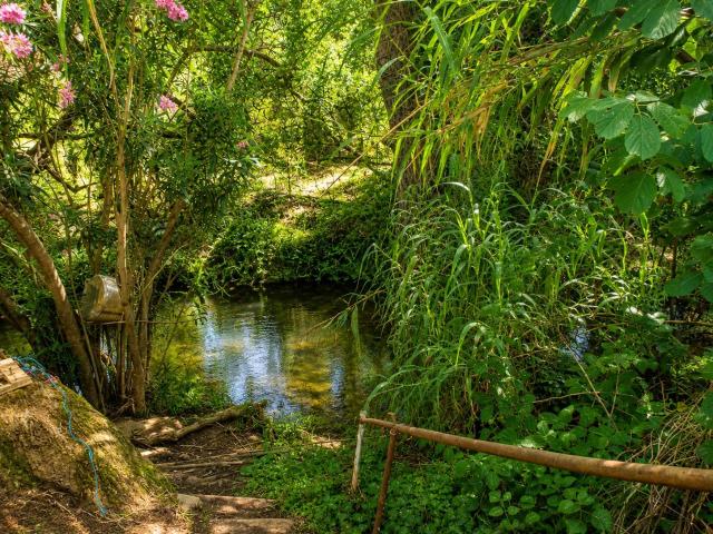 Finca en venta en Campo de Gibraltar, Andalucía