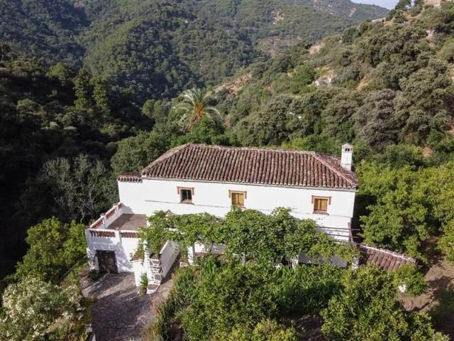 Finca en venta en Serranía de Ronda, Andalucía