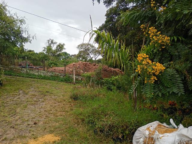 Finca En Venta En Junin En Finca Santiago V353243