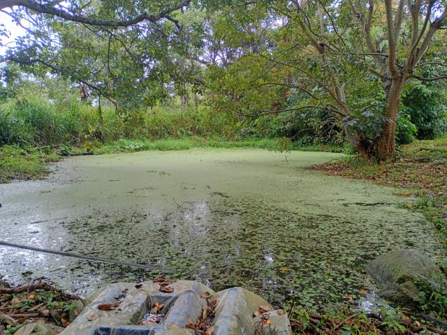 Finca En Venta En Junin En Finca Santiago V353243