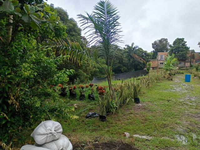 Finca En Venta En Junin En Finca Santiago V353243