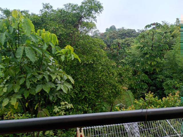 Finca En Venta En Junin En Finca Santiago V353243