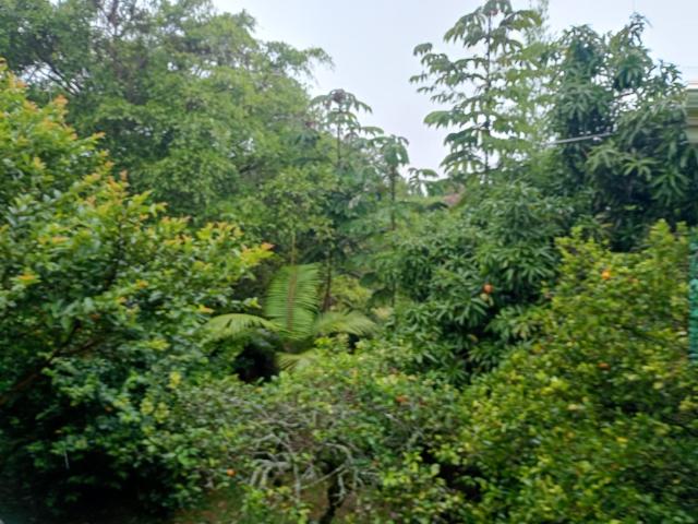 Finca En Venta En Junin En Finca Santiago V353243