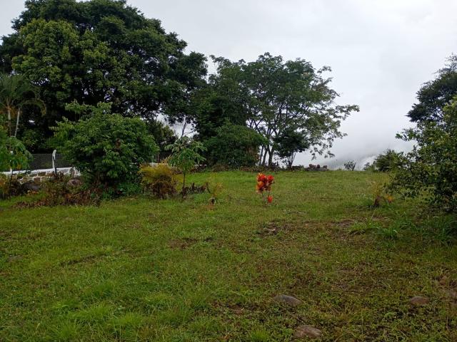 Finca En Venta En Junin En Finca Santiago V353243