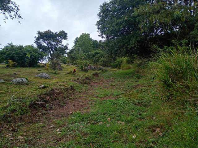 Finca En Venta En Junin En Finca Santiago V353243