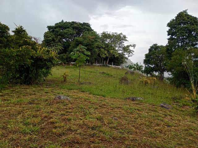 Finca En Venta En Junin En Finca Santiago V353243