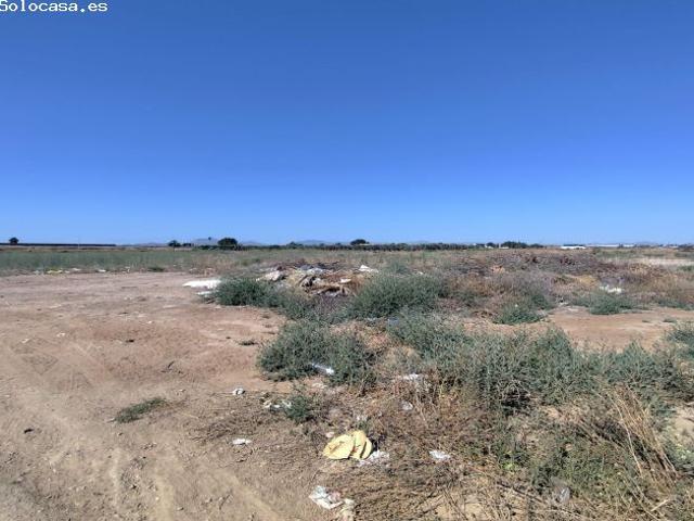 Local Comercial en venta en La Palma, Campo de Cartagena y Mar Menor